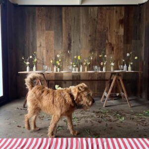 Rustic oak panelling 1